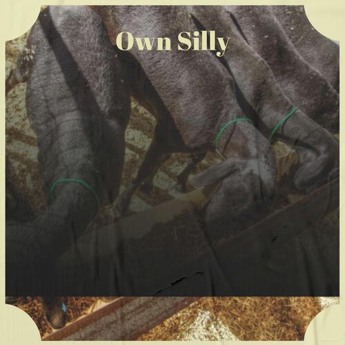 Own Silly cover art