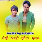 तेरी गाड़ी झोटा खाय