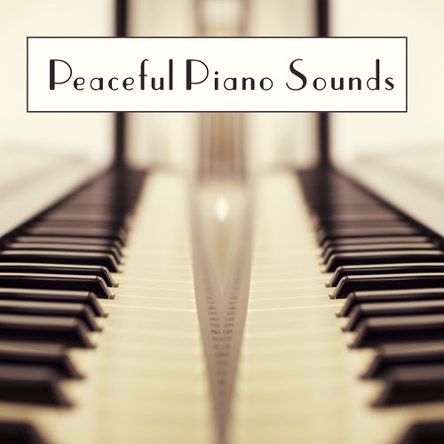 Night Note cover art