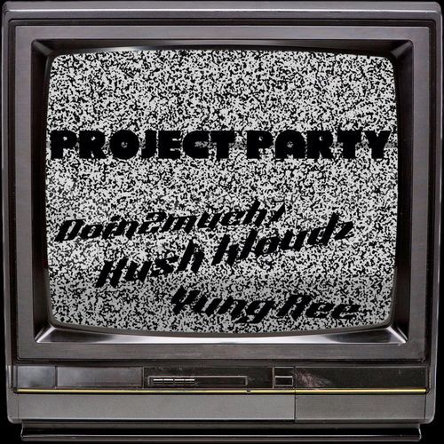 Project party cover art