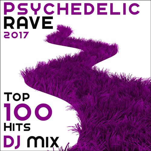 Party 12h (Psychedelic Rave 2017 DJ Mix Edit)