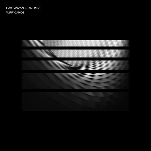 Palmar cover art