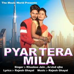 Pyaar Tera Mila-CikAZABKVUM