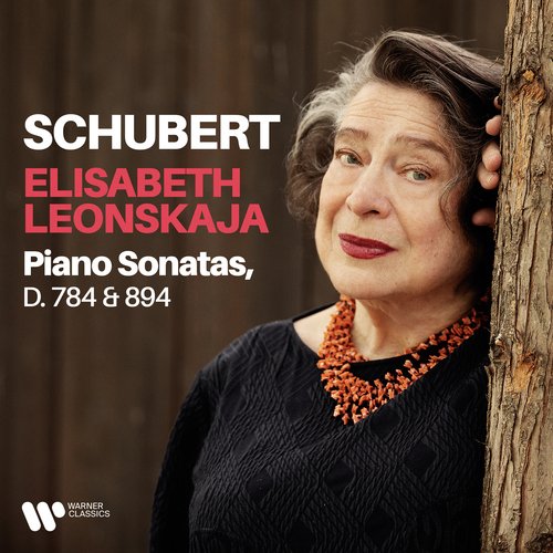 Schubert: Piano Sonatas, D. 784 &amp; 894_poster_image