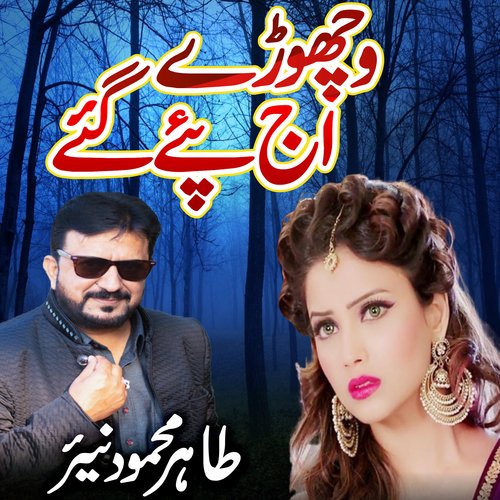 Vichore Ajj Pay Gaye - Tahir Nayyer