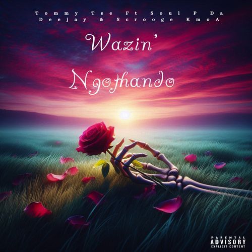 Wazini Ngothando_poster_image