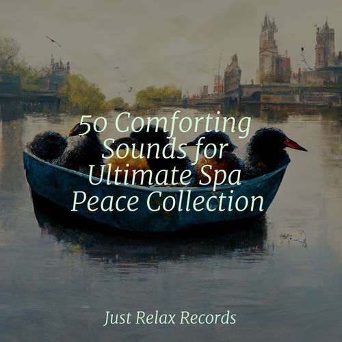 50 Comforting Sounds for Ultimate Spa Peace Collection_poster_image