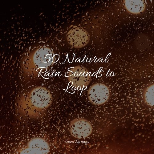 50 Natural Rain Sounds to Loop_poster_image