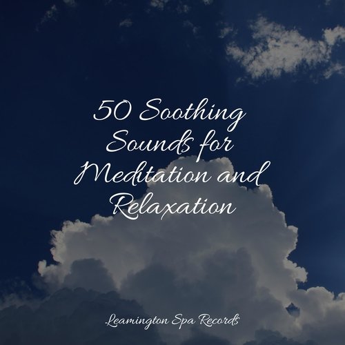 50 Soothing Sounds for Meditation and Relaxation