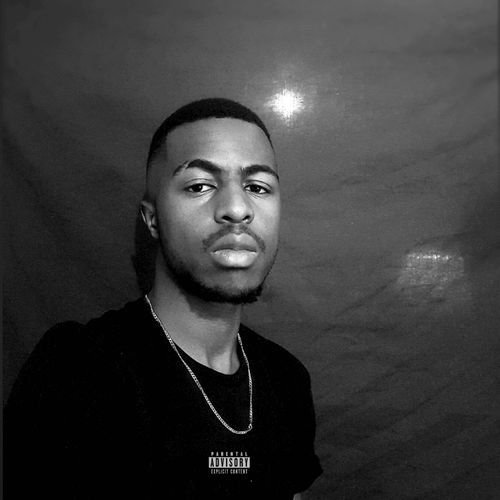 333 cover art