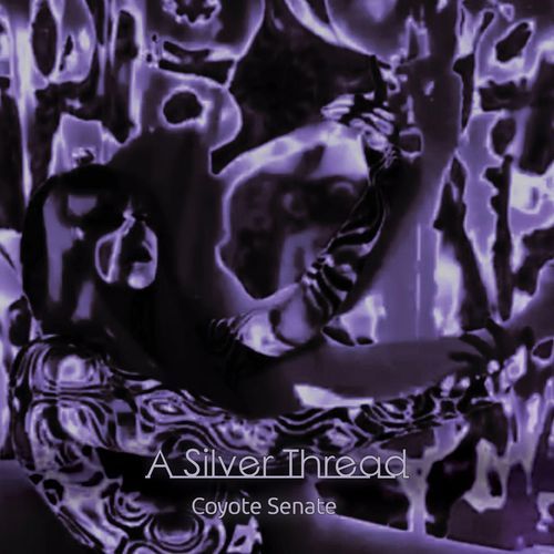 Heiress cover art