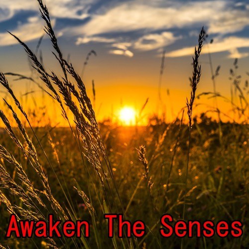 Awaken The Senses
