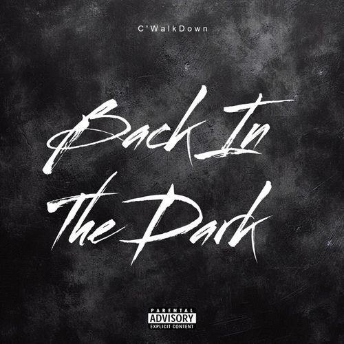Back In The Dark cover art