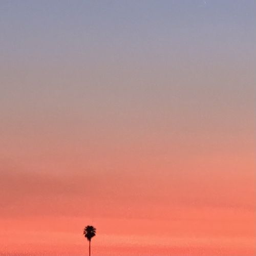 Bubbi cover art