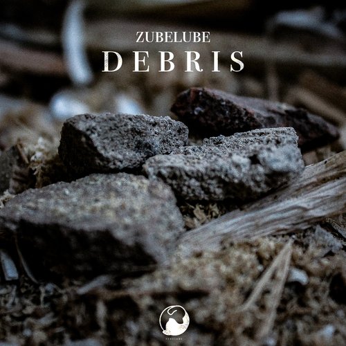 Debris cover art