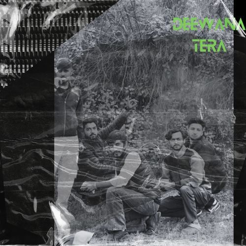 Deewana Tera
