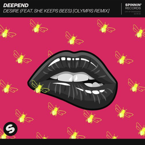 Desire (feat. She Keeps Bees) (Olympis Remix)_poster_image