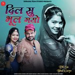 Dil Su Bhul Gayo