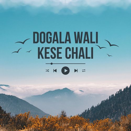 Dogala wali kese chali