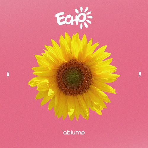 Echoes of Echo