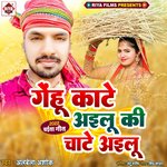 Gehu Kate Ailu Bi Chate Ailu