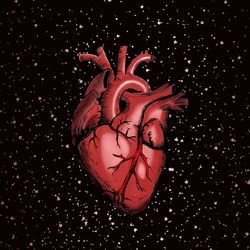 Heart-IDsFSSdRcXw