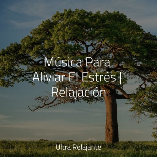 Música Para Aliviar El Estrés | Relajación