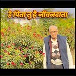 है पिता तु है जीवनदाता