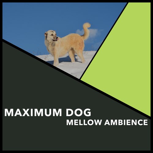 Maximum Dog Mellow Ambience_poster_image