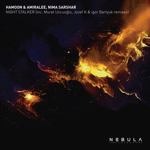 Night Stalker (Murat Uncuoglu Remix) cover art