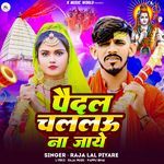 Paidal Chalalu Na Jay