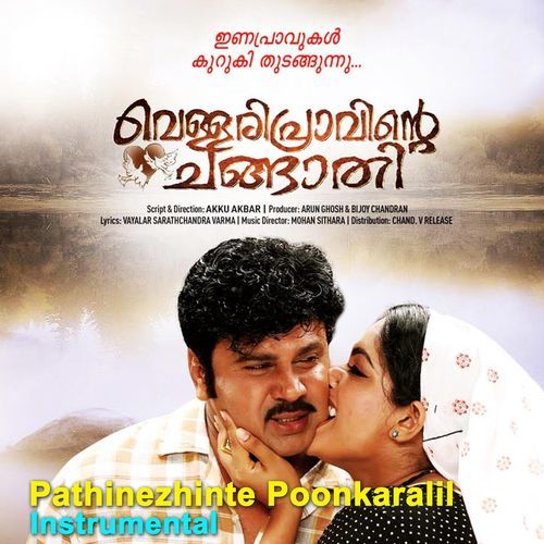 Pathinezhinte Poonkaralil (Instrumental)