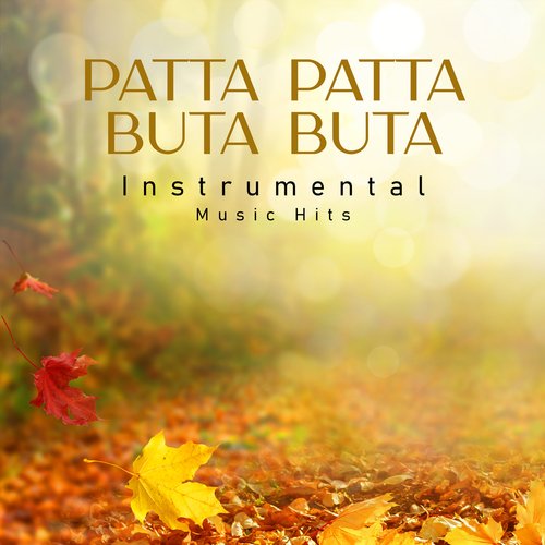 Patta Patta Buta Buta (From "Ek Nazar" / Instrumental Music Hits)