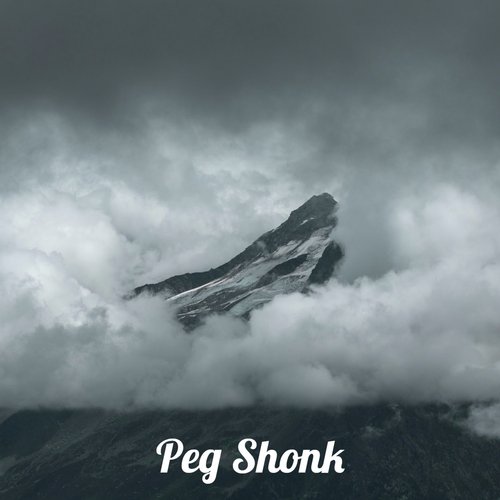 Peg Shonk