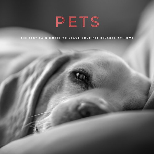 Sleepy Dogs cover art