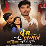 Prem Mari Hare Lagan Bije Na Kariye