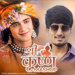 Shree Krushn Mashup