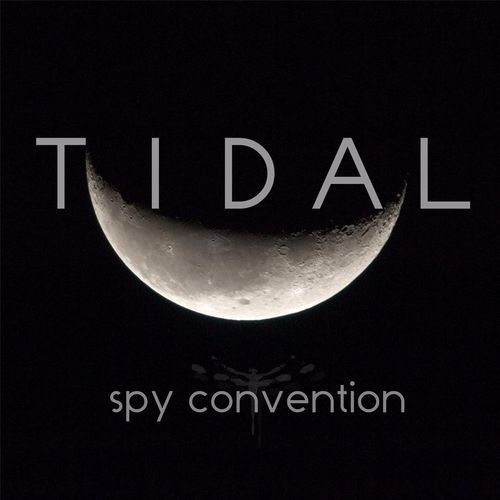 Tidal
