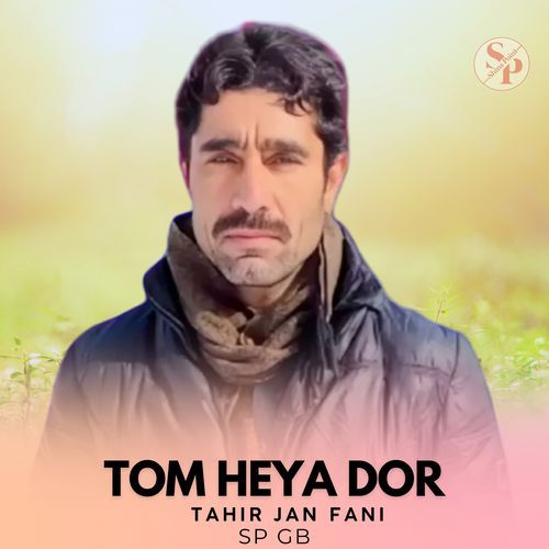 Tom Heya Dor