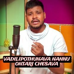 VADILIPOTHUNAVA NANNU ONTARI CHESAVA