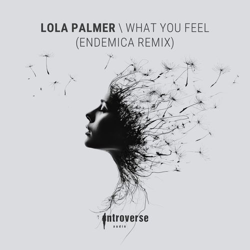 What You Feel (Endemica Remix)