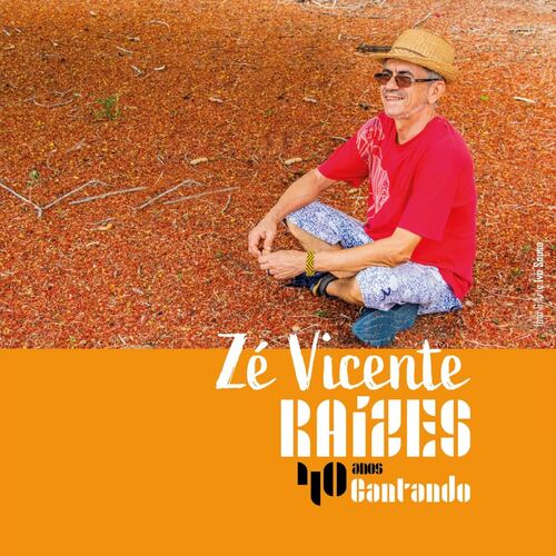 Zé Vicente Raízes - Vou Dar um Tempo cover art