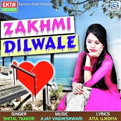 Zakhmi Dilwale-QCMicBtUAGA