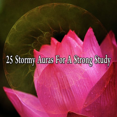 25 Stormy Auras for a Strong Study_poster_image