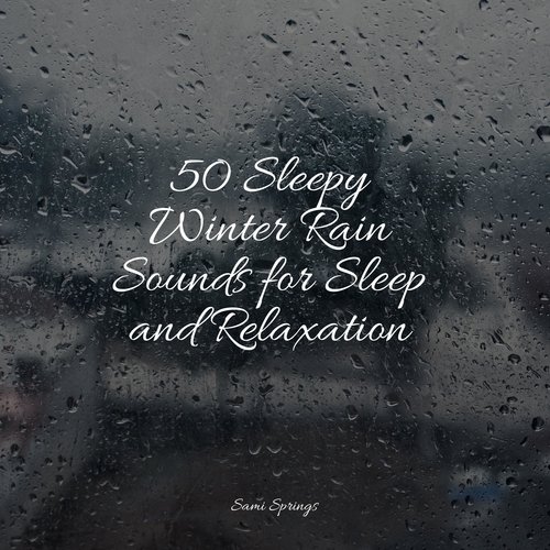 50 Sleepy Winter Rain Sounds for Sleep and Relaxation_poster_image