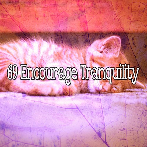 69 Encourage Tranquility