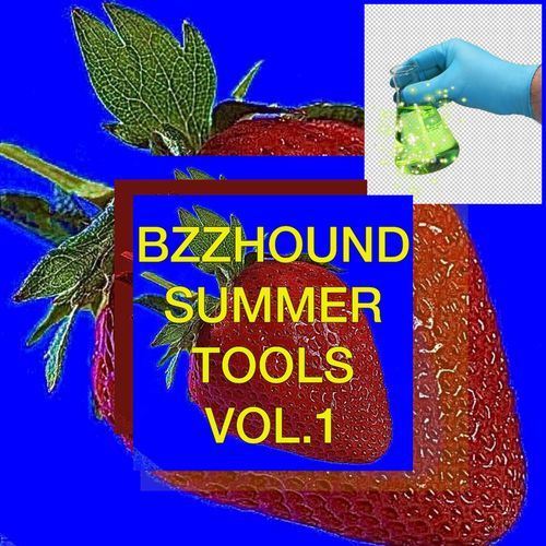 BZZHOUND SUMMER TOOLS VOL.1