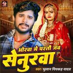 Bhorwa Me Partou Jab Senurwa
