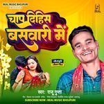 Chap Dihis Baswari Me