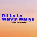 Dil La La Wanga Waliya